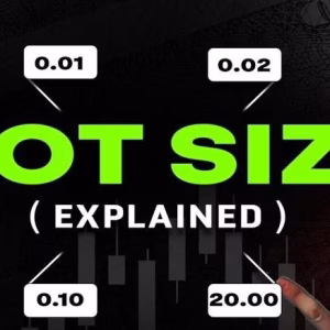 Trader Gupta Lot Size Explained